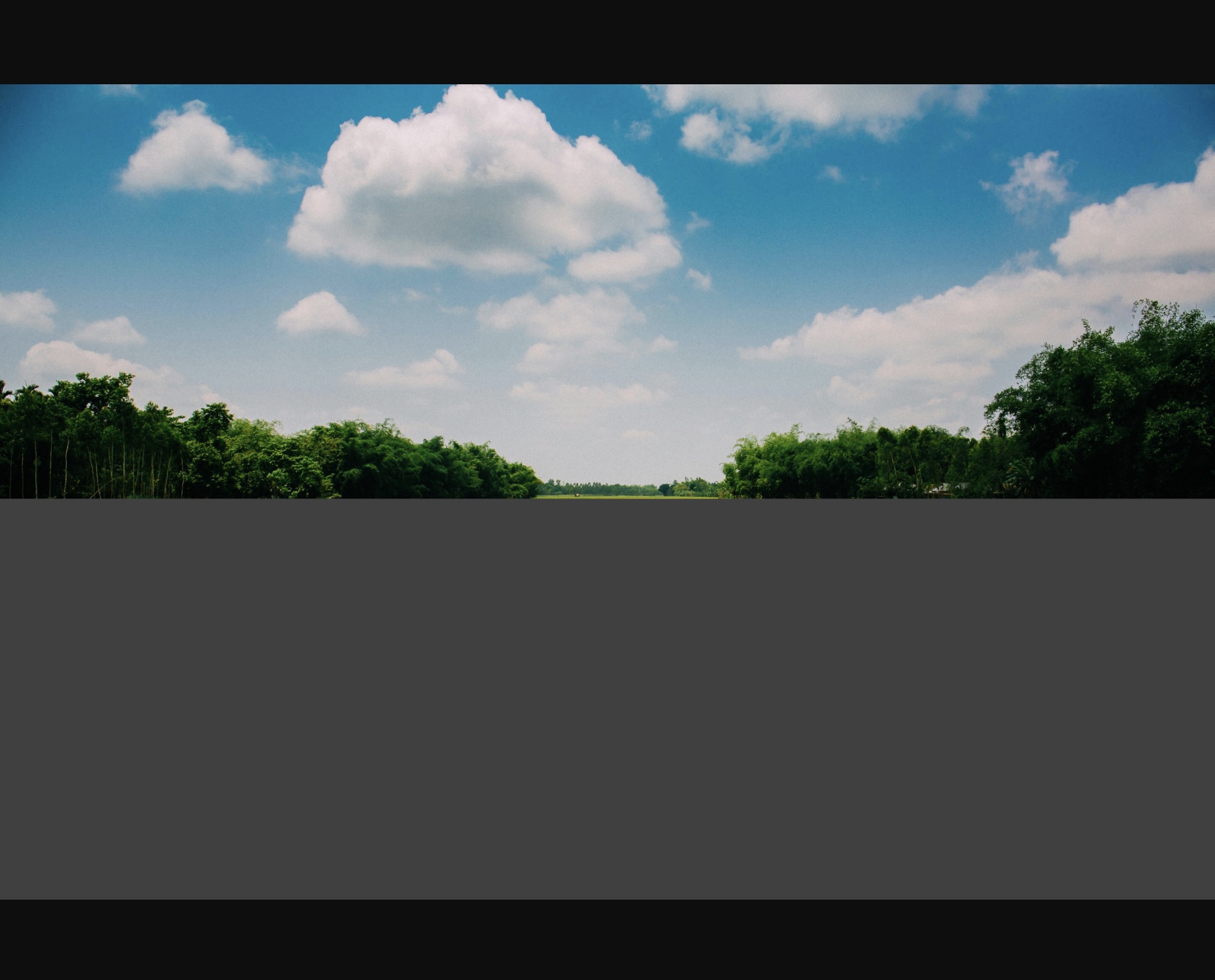 Baseline vs Progressive JPEG